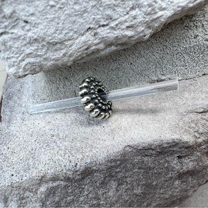Retired Trollbeads Sterling Silver Charm
